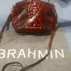 Brahmin